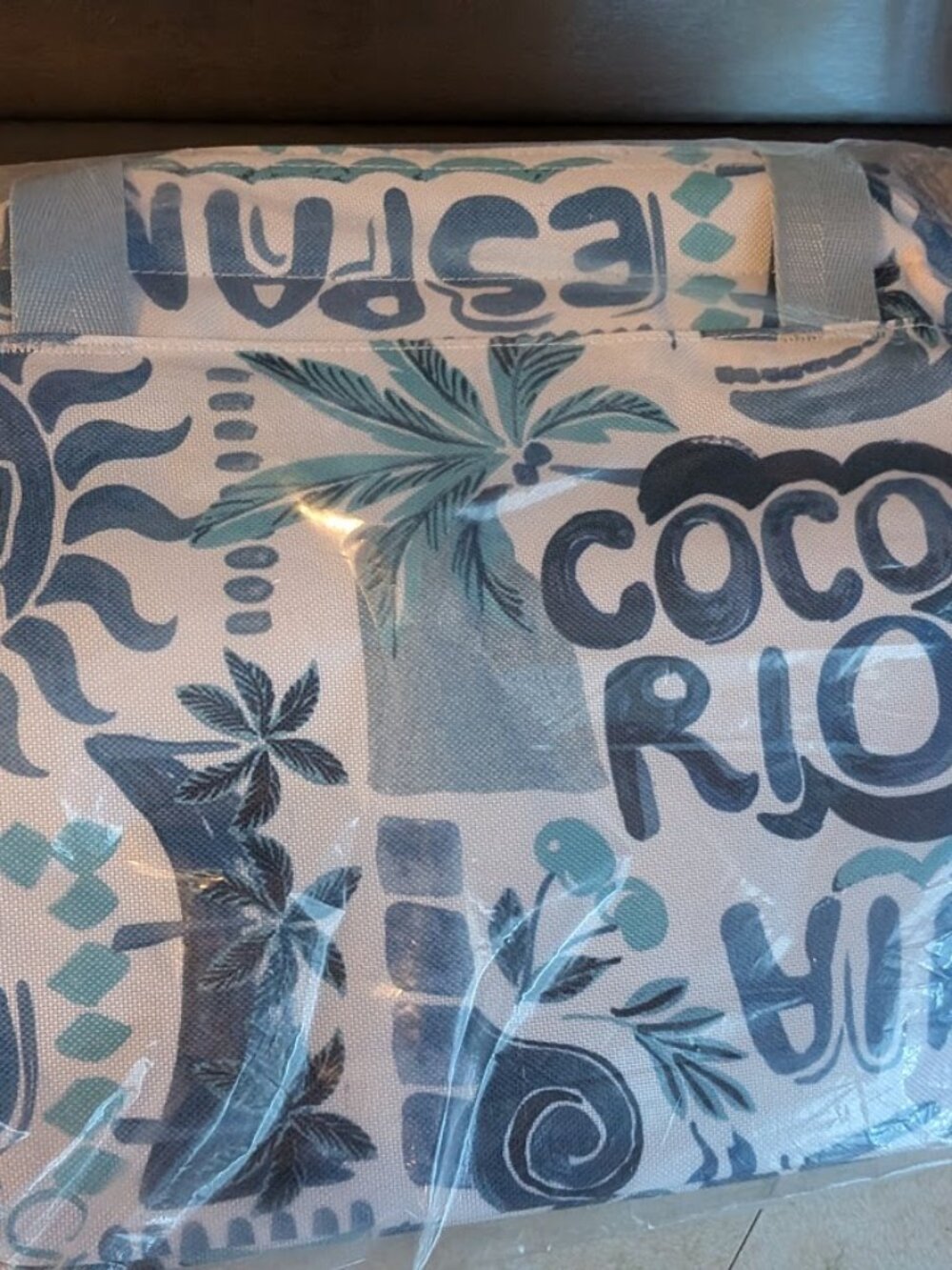NEW Chico's Insulated Cooler in Passport Blue Summer Design